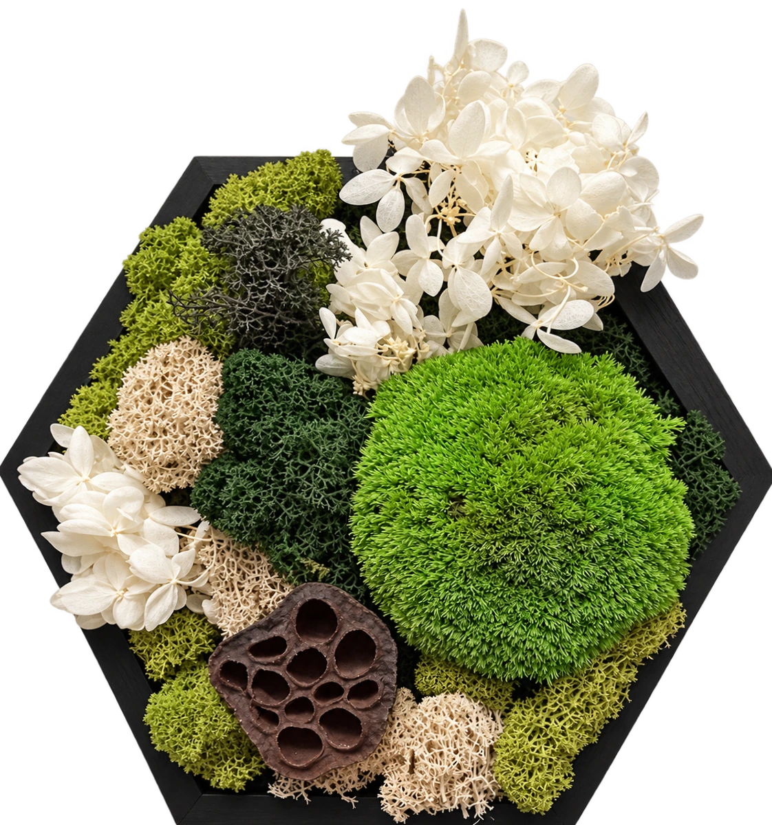 Moss: Composizione esagonale verde con elementi botanici e fiori